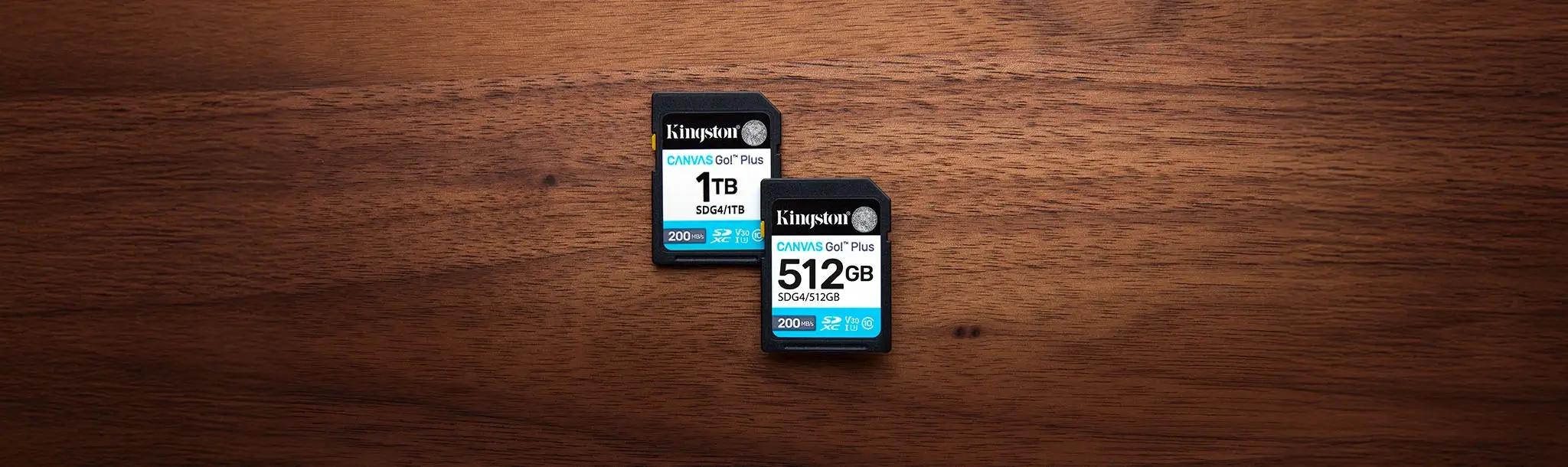 Kingston Canvas Go! Plus SD memory card 