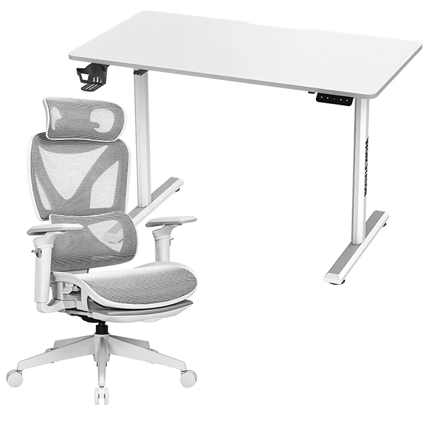 Fantech Workstation CW2 Denver Executive Ergonomic Office Chair White + WS311 ADJUSTABLE RISING DESK