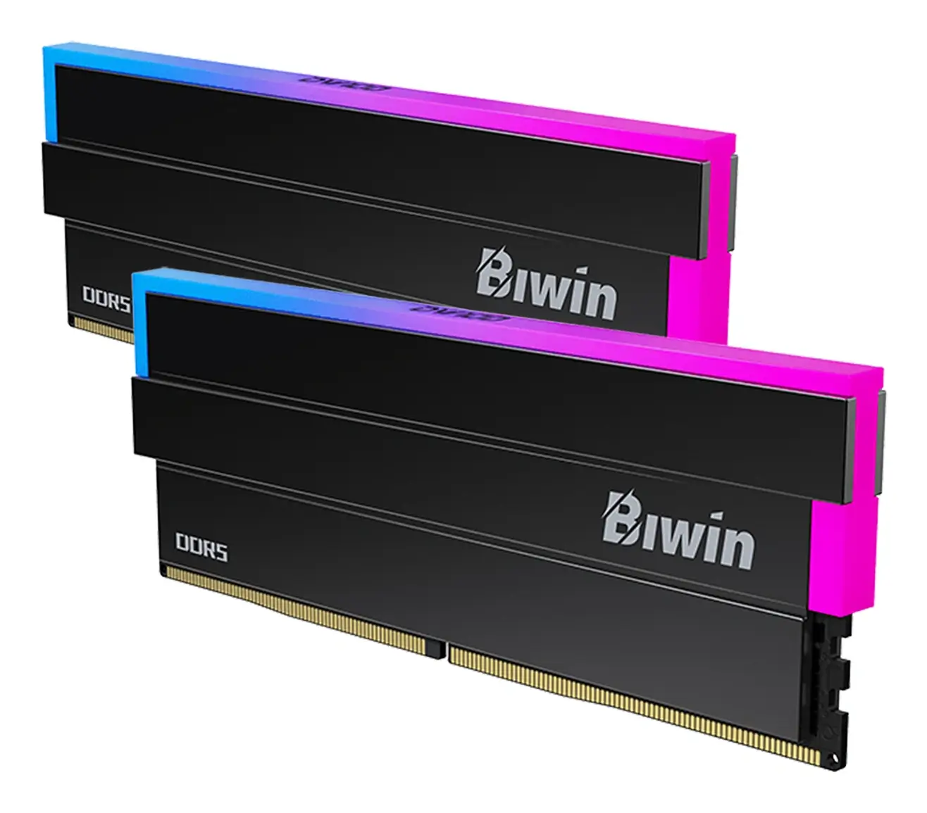 Biwin DW100 DDR5 Ram